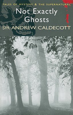Not Exactly Ghosts pdf epub mobi 电子书 下载