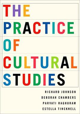 The Practice of Cultural Studies pdf epub mobi 下载