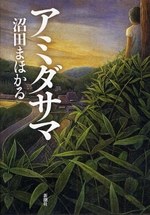 アミダサマ pdf epub mobi 电子书 下载