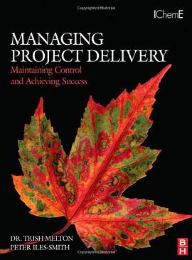 Managing Project Delivery pdf epub mobi 电子书 下载