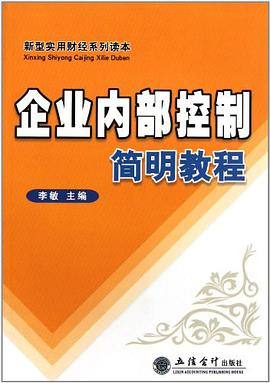 企业内部控制简明教程 pdf epub mobi 电子书 下载