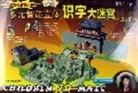 多元智能立体识字大迷宫:启蒙篇 (精装)