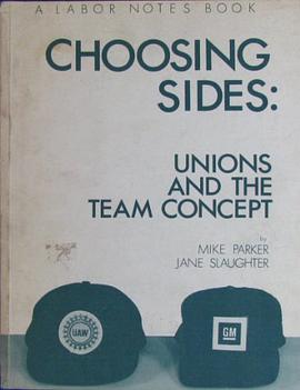 Choosing Sides pdf epub mobi 电子书 下载