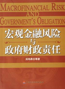 宏觀金融風險與政府財政責任