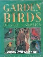 Garden Birds of North America pdf epub mobi 电子书 下载