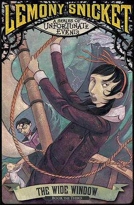 The Wide Window pdf epub mobi 电子书 下载