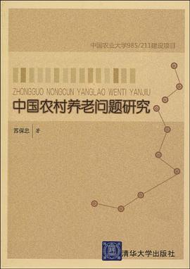 中国农村养老问题研究 pdf epub mobi 电子书 下载