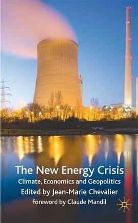 The New Energy Crisis pdf epub mobi 下载