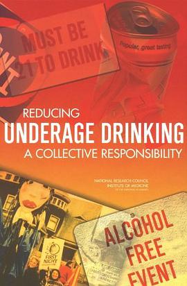 Reducing Underage Drinking pdf epub mobi 电子书 下载