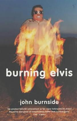 Burning Elvis pdf epub mobi 电子书 下载