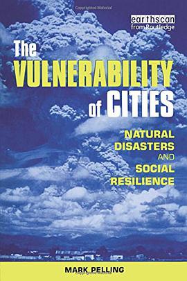 The Vulnerability of Cities pdf epub mobi 电子书 下载