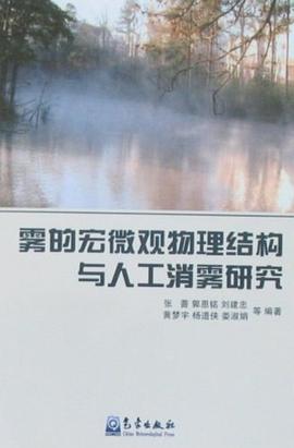 雾的宏微观物理结构与人工消雾研究 pdf epub mobi 电子书 下载