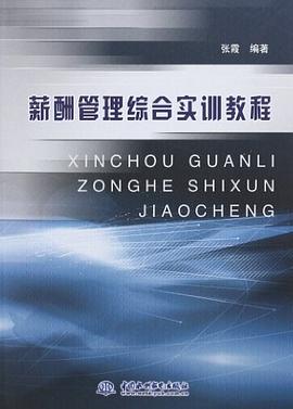 薪酬管理综合实训教程 pdf epub mobi 电子书 下载