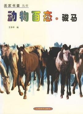 动物百态·骏马