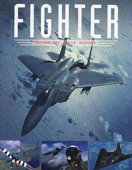 Fighter 历史上的勇士 pdf epub mobi 电子书 下载