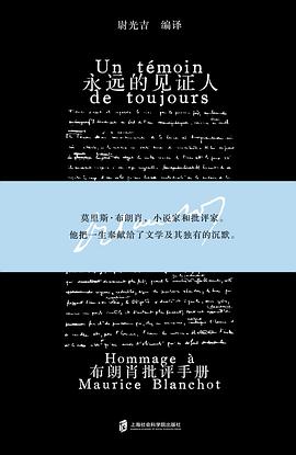 永远的见证人 pdf epub mobi 电子书 下载