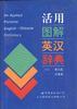活用图解英汉辞典 pdf epub mobi 电子书 下载