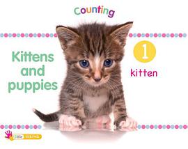 Kittens and Puppies pdf epub mobi 电子书 下载