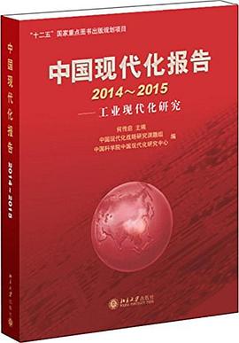 中国现代化报告 pdf epub mobi 下载