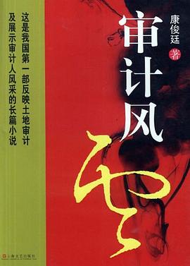 审计风云 pdf epub mobi 下载