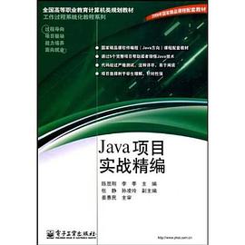 Java项目实战精编
