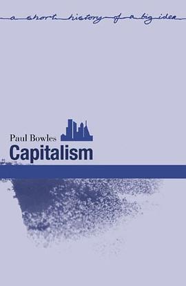 Capitalism pdf epub mobi 电子书 下载
