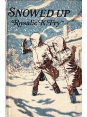 Snowed up An Ariel book pdf epub mobi 电子书 下载