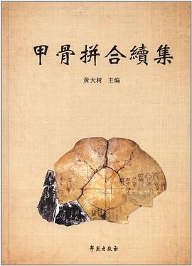 甲骨拼合续集 pdf epub mobi 电子书 下载