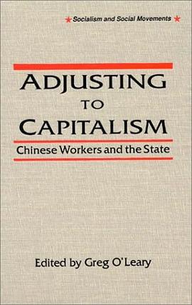 Adjusting to Capitalism pdf epub mobi 电子书 下载
