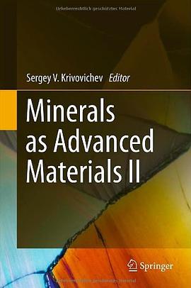 Minerals as Advanced Materials pdf epub mobi 電子書 下載