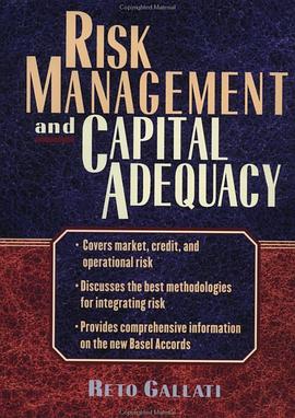 Risk Management and Capital Adequacy pdf epub mobi 电子书 下载
