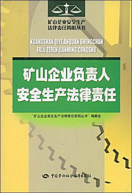 矿山企业负责人安全生产法律责任 pdf epub mobi 下载