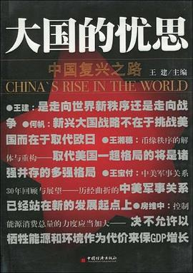 大国的忧思 pdf epub mobi 电子书 下载