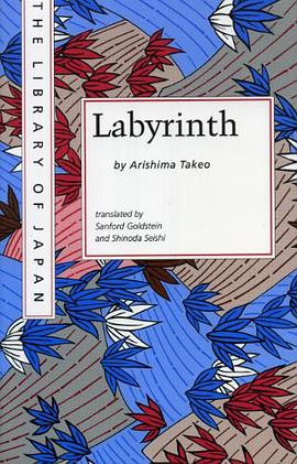 Labyrinth pdf epub mobi 下载