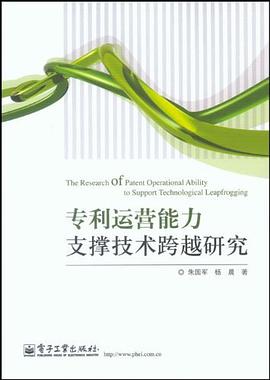 专利运营能力支撑技术跨越研究 pdf epub mobi 电子书 下载