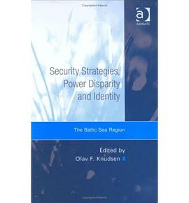 SecurityStrategies.PowerDisparityandIdentity pdf epub mobi 電子書 下載