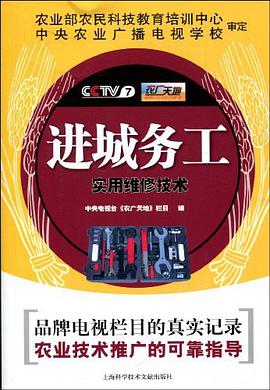 进城务工实用维修技术 pdf epub mobi 电子书 下载