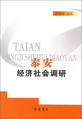 泰安經濟社會調研 pdf epub mobi 電子書 下載