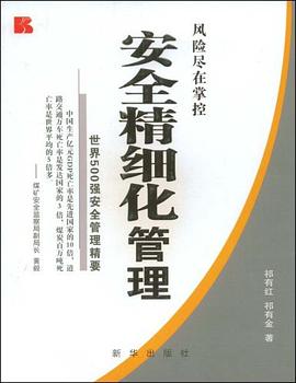 安全精细化管理 pdf epub mobi 电子书 下载