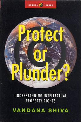 Protect or Plunder? pdf epub mobi 电子书 下载