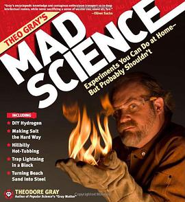 Theo Gray's Mad Science pdf epub mobi 电子书 下载