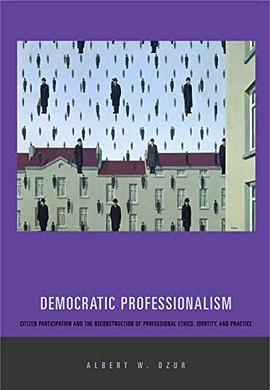 Democratic Professionalism pdf epub mobi 电子书 下载