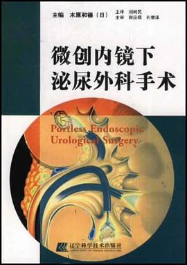 微创内镜下泌尿外科手术 pdf epub mobi 电子书 下载