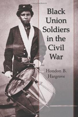 Black Union Soldiers in the Civil War pdf epub mobi 电子书 下载