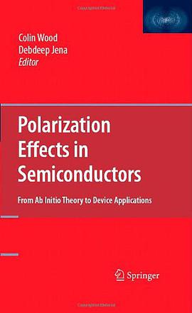 Polarization Effects in Semiconductors pdf epub mobi 電子書 下載