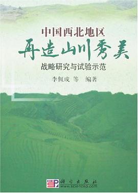 中国西北地区再造山川秀美战略研究与试验示范 pdf epub mobi 电子书 下载
