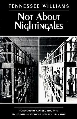 Not about Nightingales pdf epub mobi 电子书 下载