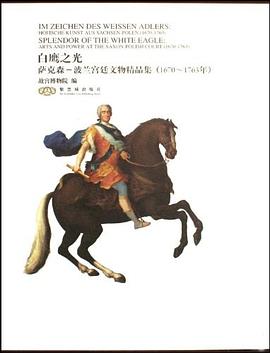 白鹰之光 pdf epub mobi 电子书 下载
