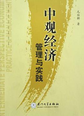 中观经济管理与实践