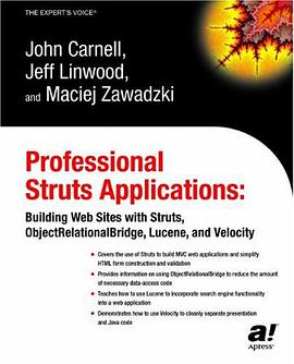 Professional Struts Applications pdf epub mobi 电子书 下载